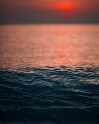 Unsplash ID 8dotbUqHTQ8