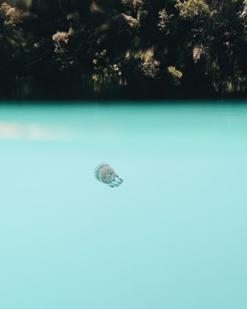 Unsplash ID 8DoX25za6bU