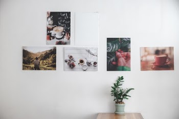 Unsplash ID 8EiFzjvt_U0