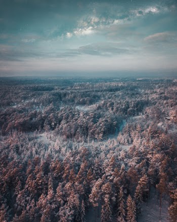Unsplash ID 8gBUx7Xmsqo