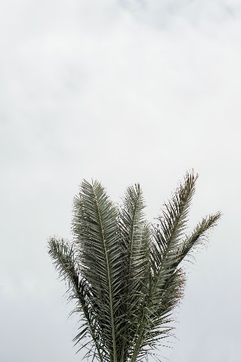 Unsplash ID 8gd_vzzim30