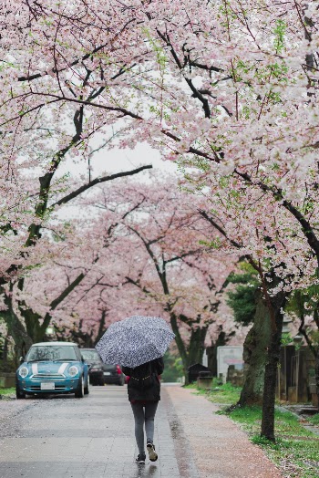 Unsplash ID 8gRw4V0_XJA