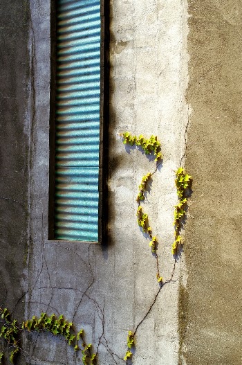 Unsplash ID 8gsBgEWk5SM