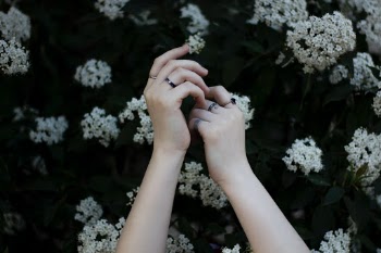 Unsplash ID 8hSaNgg0FR4