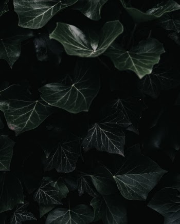Unsplash ID 8HX7BXQwMqY