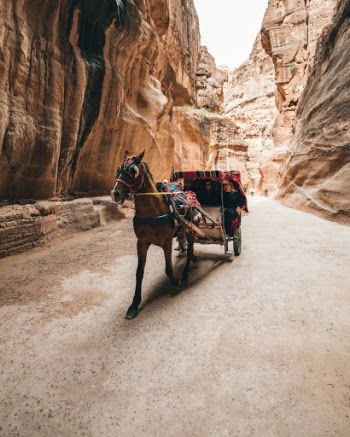 Unsplash ID 8J7aUPHX9UY