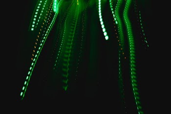 Unsplash ID 8LotN6HsaT4