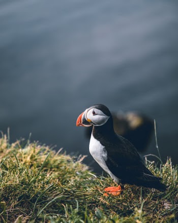 Unsplash ID 8LtKWFAiw5s