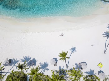 Unsplash ID 8OOkmGgh1VU