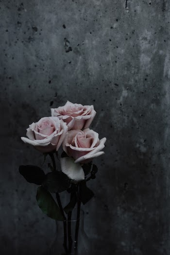 Unsplash ID 8P-PTWmYeHc