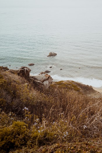 Unsplash ID 8uqqSQ7GJbU