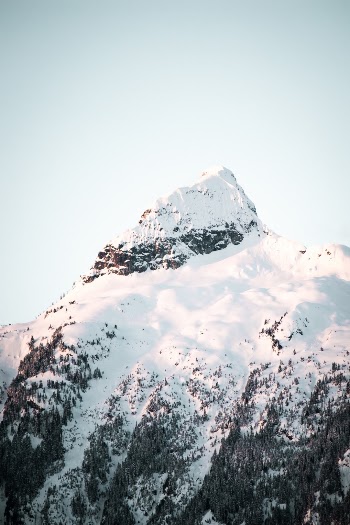 Unsplash ID 8XTNYXOOX_o