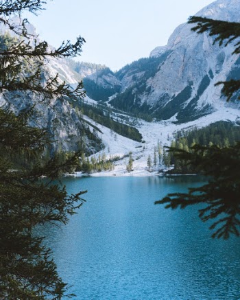 Unsplash ID 8ZZt-XhJ_RQ