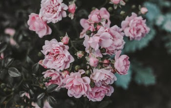 Unsplash ID 9__QftajSc8