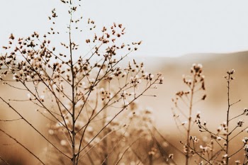 Unsplash ID 90DYNCxoKu8