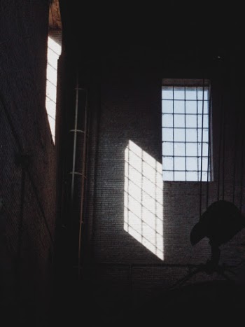 Unsplash ID 95R0vDV6eME