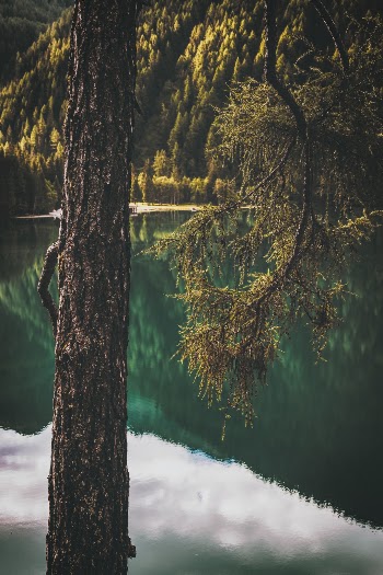Unsplash ID 98IEeWxn3zM