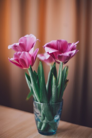 Unsplash ID 992EIGirjrk
