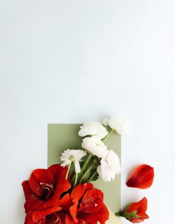 Unsplash ID 9AjPn-m8O9c