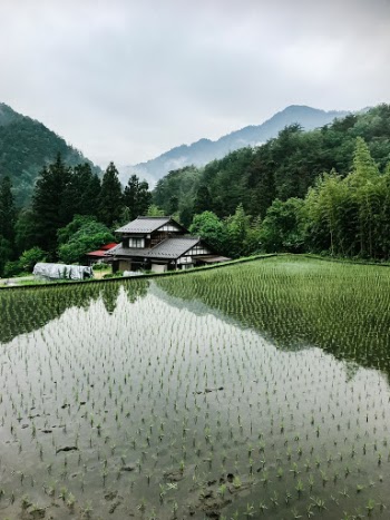 Unsplash ID 9aZkkMUJAJU