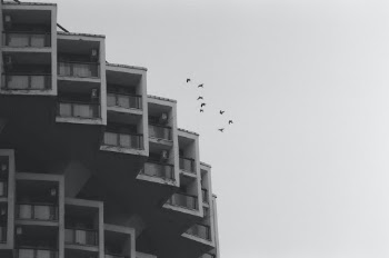 Unsplash ID 9d4OslIM2Rs