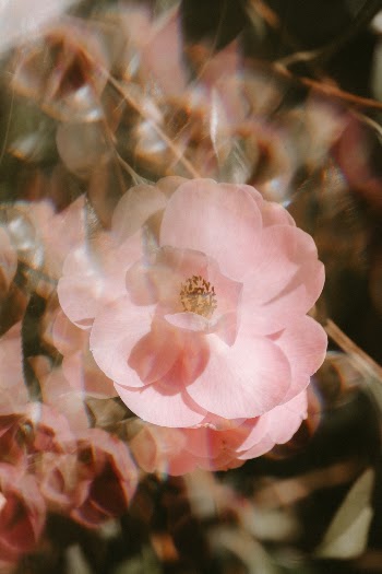 Unsplash ID 9DedxUSwLg4