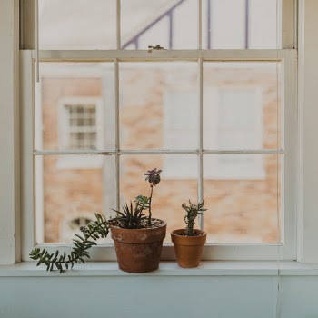 Unsplash ID 9djChHYDOXo