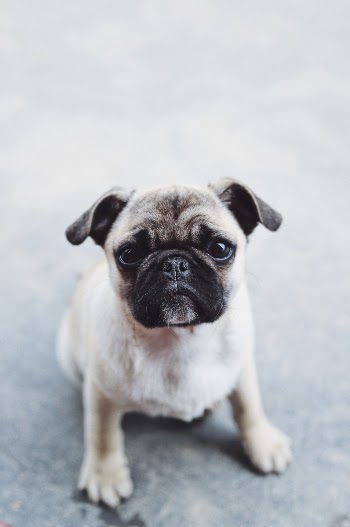 Unsplash ID 9fV3DBIrp94
