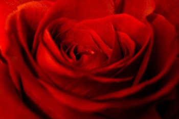 Unsplash ID 9I43XMuXWdk