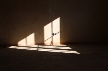 Unsplash ID 9lnskfMOcZA