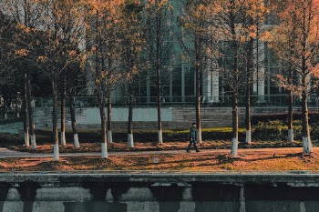 Unsplash ID 9O_VFswPDNs
