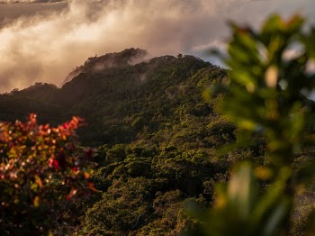 Unsplash ID 9oXw9OCGBFY