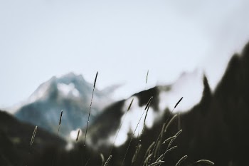 Unsplash ID 9PjhqIm5ziw