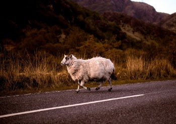 Unsplash ID 9PJM4HDLULI