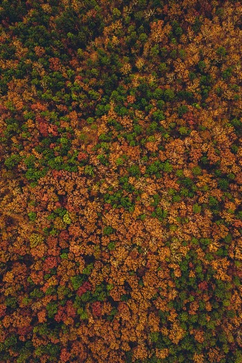 Unsplash ID 9q2Nz42jG-s