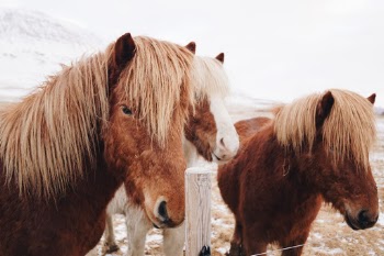 Unsplash ID 9RMUiIz8at8