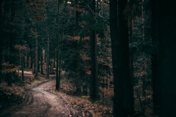 Unsplash ID 9twXXB0kI3I