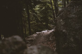 Unsplash ID 9vhM9xJGtyo