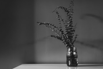 Unsplash ID 9Vy0GUCP8NU