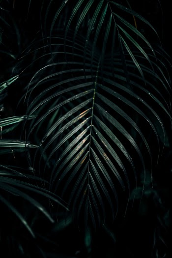 Unsplash ID 9WTye7WtQHA