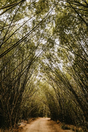 Unsplash ID 9wvBzqkbAMM