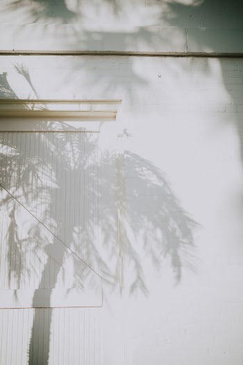 Unsplash ID 9Xnecn8oiHA