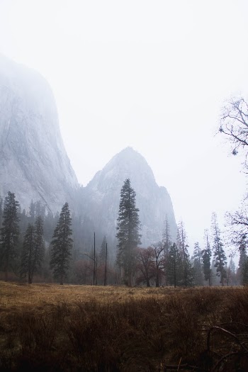 Unsplash ID 9Y29s1vtjO8