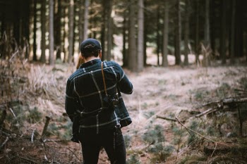 Unsplash ID 9yf1CtxhDmw