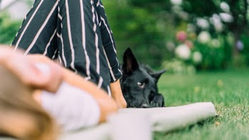 Unsplash ID A-EOt3sqSfE
