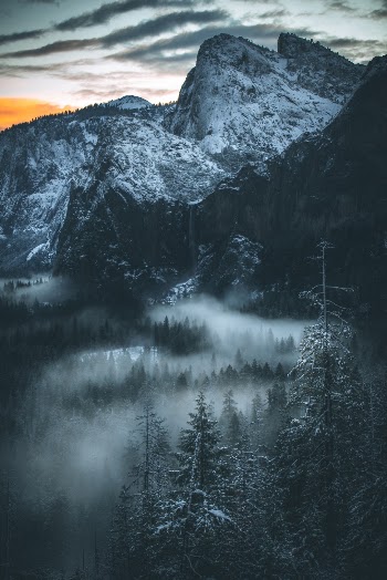 Unsplash ID A2ogxGEdgU8