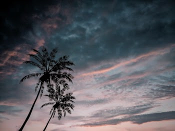 Unsplash ID A3qM1rBpDNM