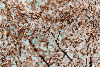Unsplash ID A7psyloufQI