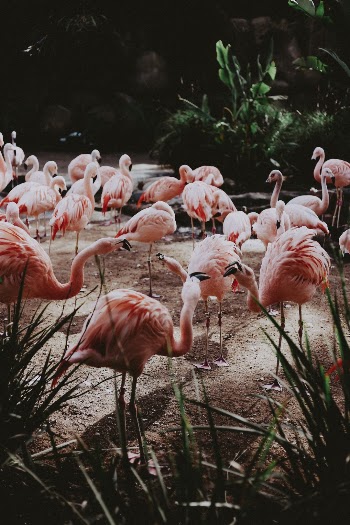 Unsplash ID A7Yzb-fZNNc
