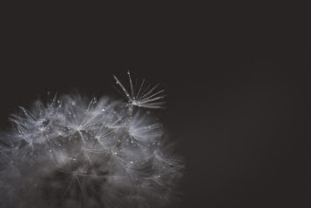Unsplash ID a9hmMvUydSg
